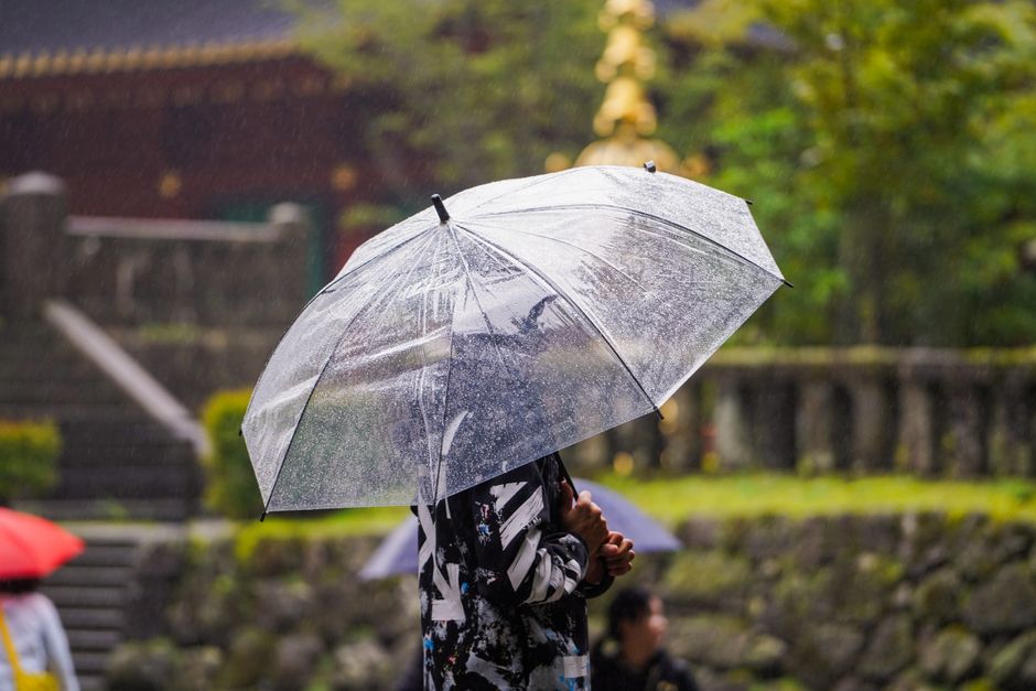 A person holding an umbrella in a tranquil Japanese garden during a rainy day.