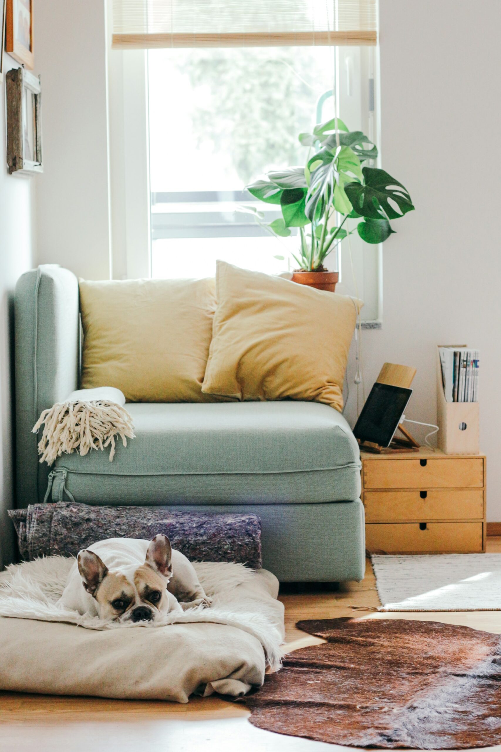 What are the Best Home Improvements When it Comes to Home Security?