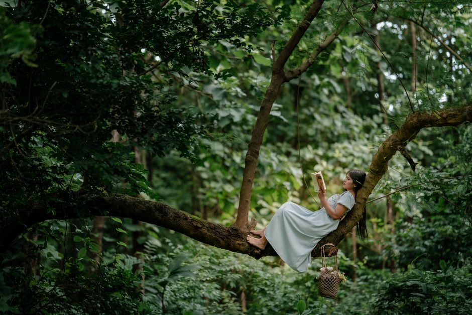 A woman peacefully reads a book while sitting on a tree branch in lush greenery.
